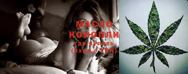 гашиш Богданович