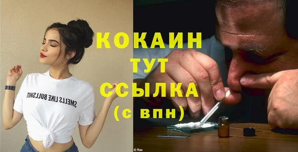 гашиш Богданович