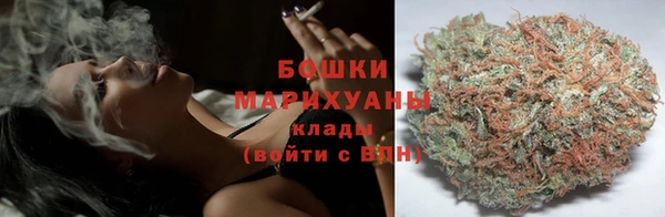 спиды Богородск