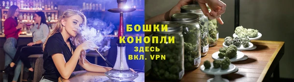 гашиш Богданович