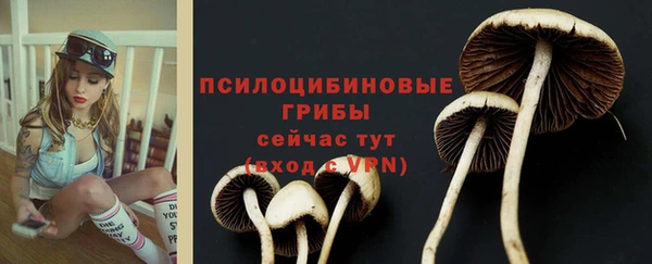 гашиш Богданович