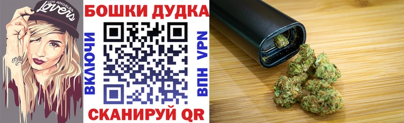 где найти Павловск Шишки марихуана SATIVA & INDICA